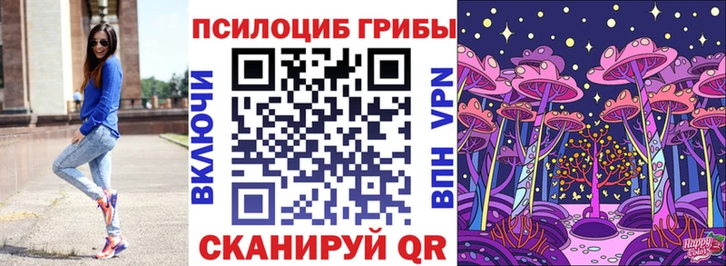 купить наркотики цена гидра tor Галлюциногенные грибы Psilocybe Лысково